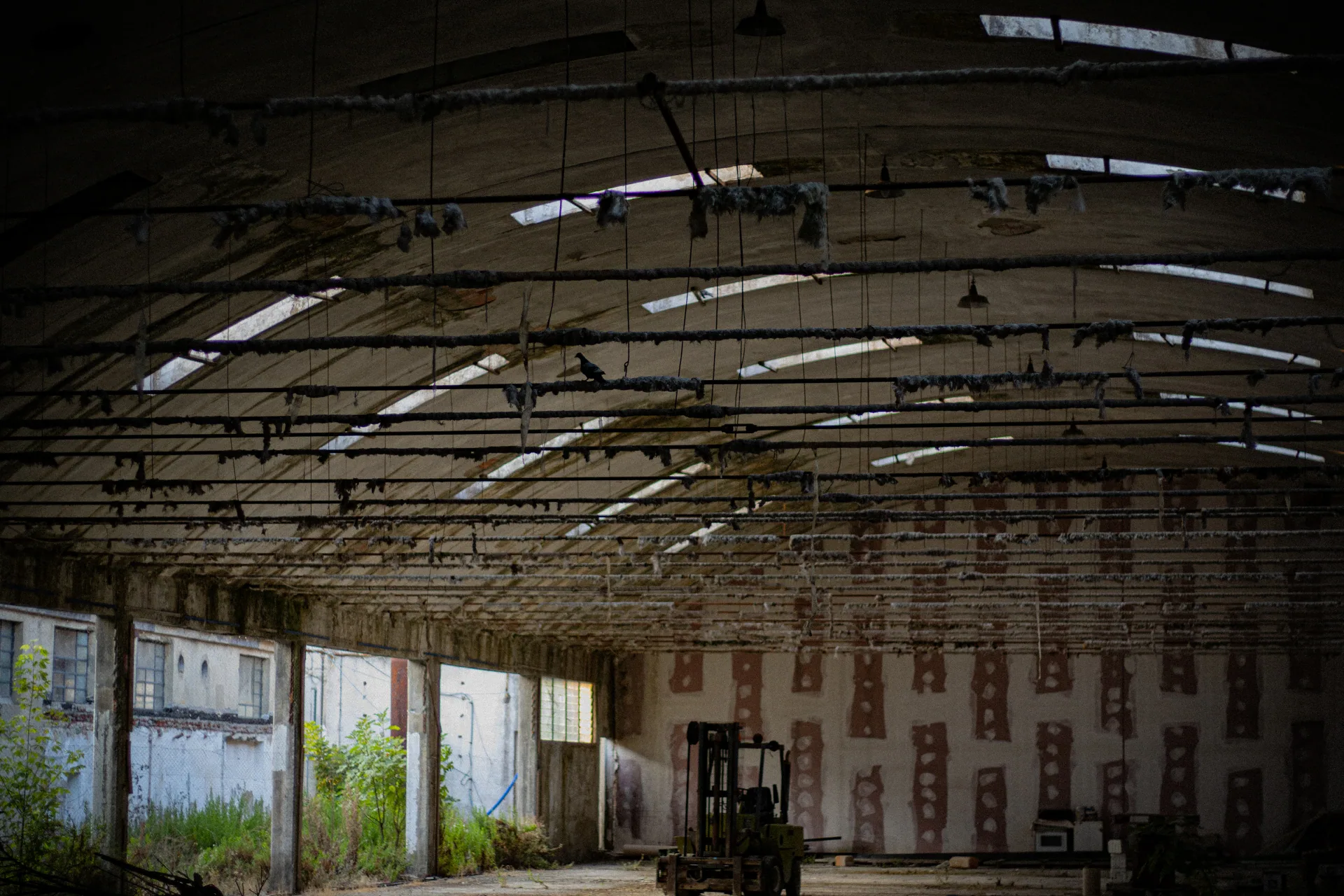 Visual Studies & Composition – photography, composition study 4